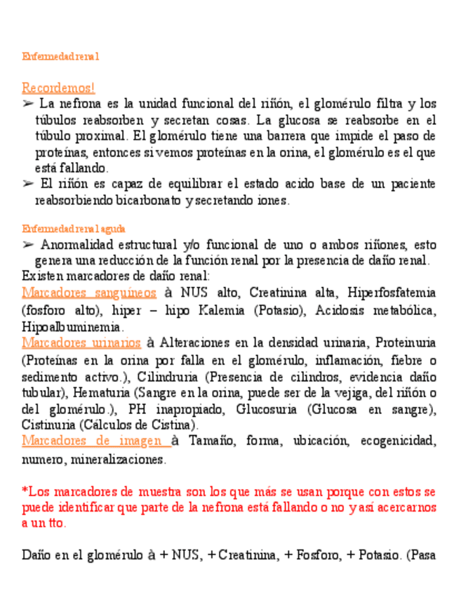 Enfermedad-renal-resumen-libro-PDF.pdf
