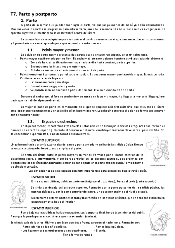 T7.-Preventiva.pdf