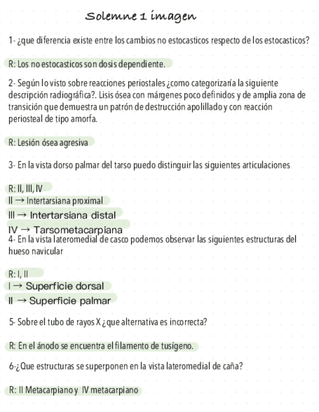 Solemne-1-imagen-2022.pdf