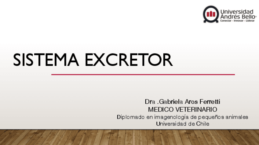 Clase-2-con-apuntes-imagen-Sistema-Excretor-y-Adrenales.pdf