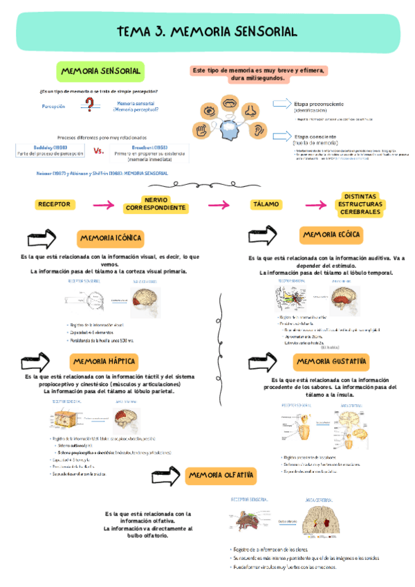 TEMA-3-PROCESOS-DE-MEMORIA.pdf