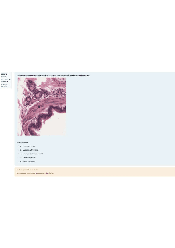 TEST-HISTO-II.pdf
