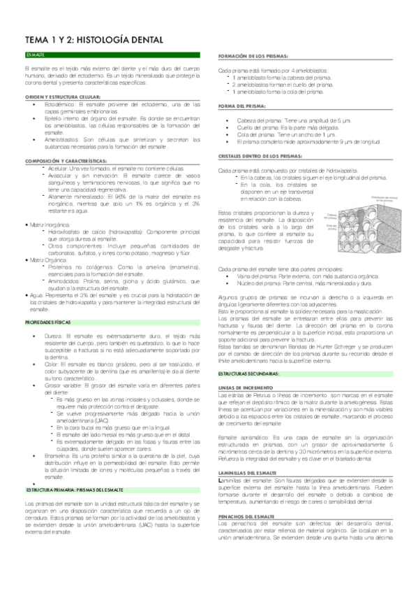 TEMA-1-Y-2-HISTOLOGIA-DENTAL.pdf