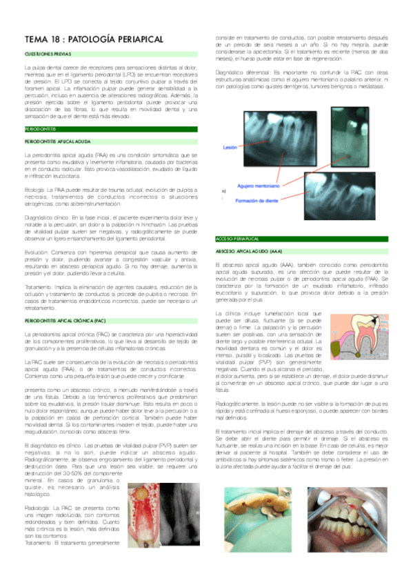 TEMA-18-PATOLOGIA-PERIAPICAL.pdf