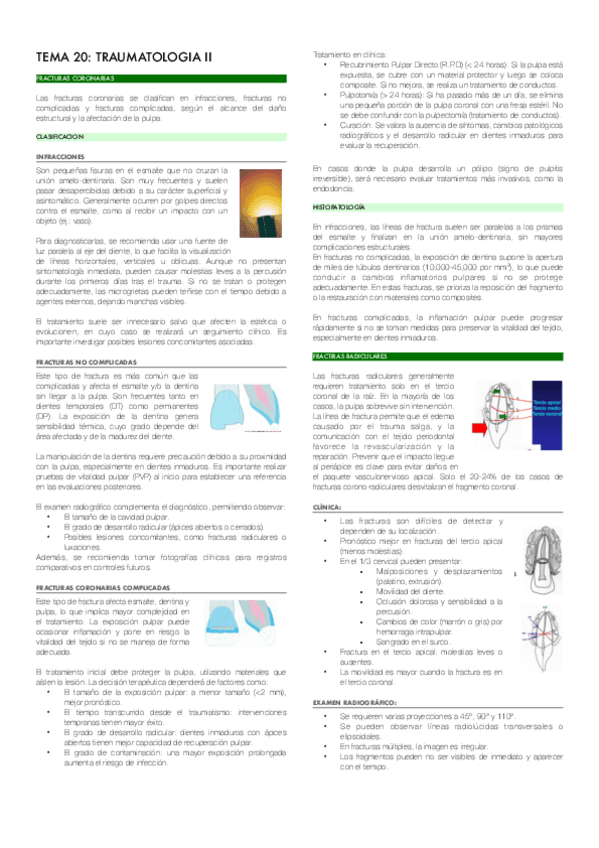 TEMA-20-TRAUMATOLOGIA-II.pdf