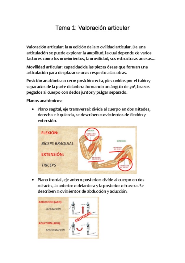 Apuntes-CINESIOLOGIA.pdf