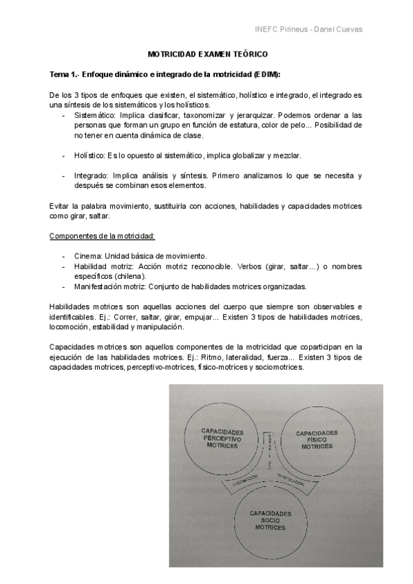 ManifestacionesBasicasdelaMotricidadINEFCPirineus.pdf