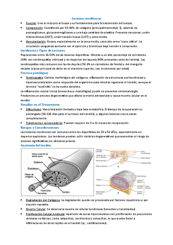 Tema-5-Fisio-Deportiva.pdf
