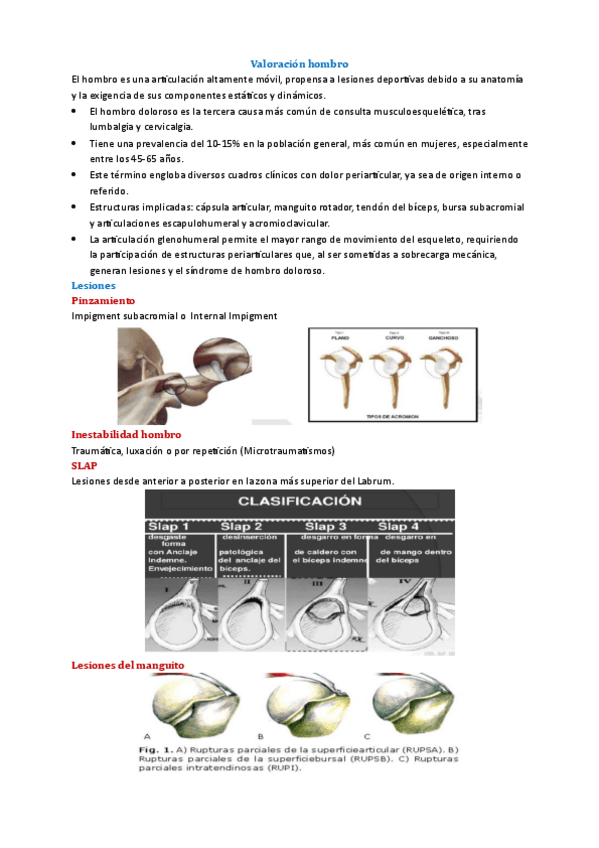 Tema-10-Fisio-Deportiva.pdf