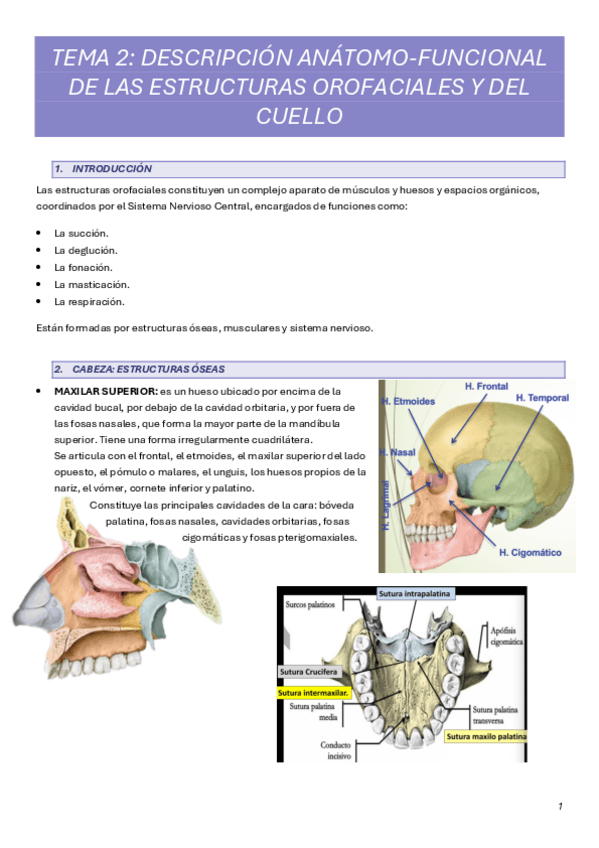 TEMA-2.pdf