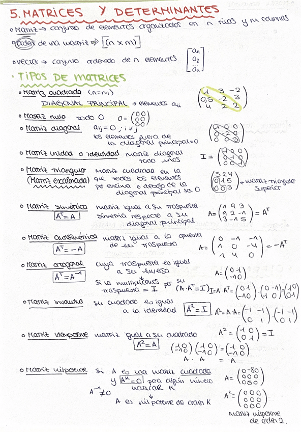 matrices-y-determinantes-apuntes-5.pdf