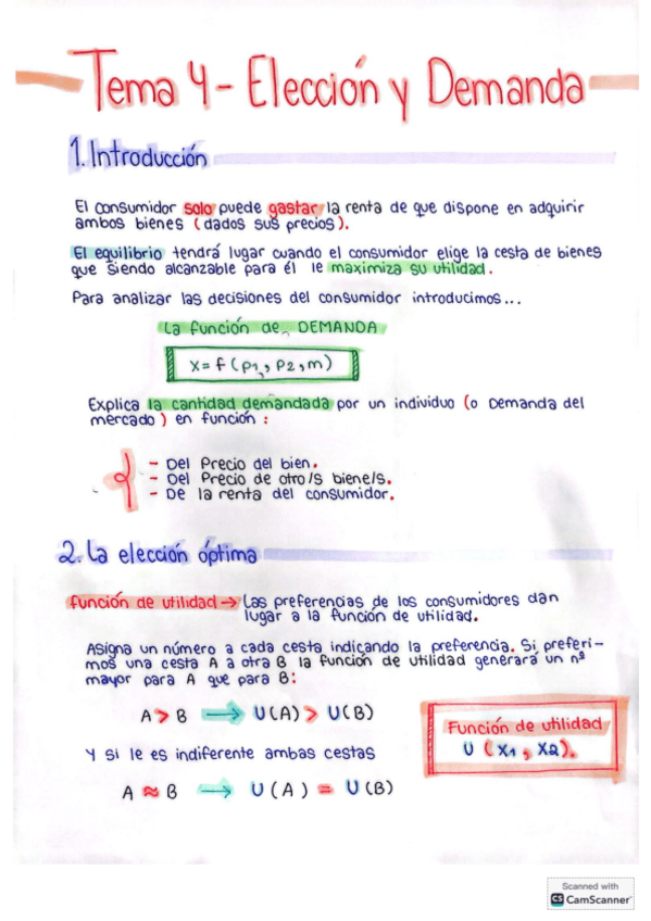 Tema-4-Eleccion-y-demanda.pdf