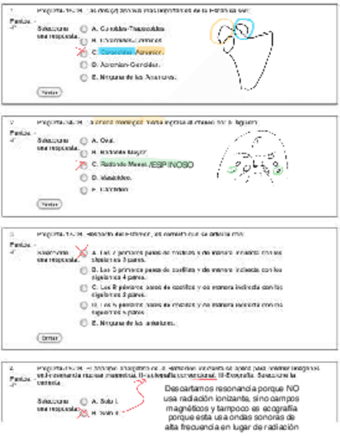 Examen-Test-Anatomia-2425-resuelto.pdf