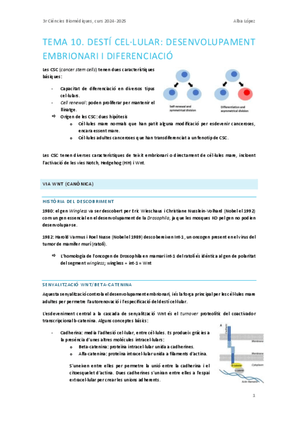 Tema-10.-Desti-cellular-desenvolupament-embrionari-i-diferenciacio.pdf