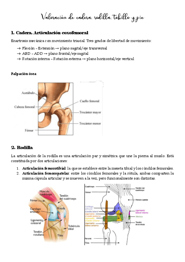 Valoracion-oseo-articular-practicas.pdf