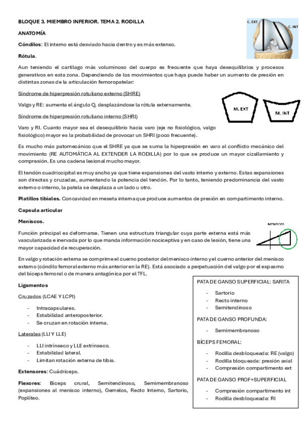 BLOQUE-3.-RODILLA-TEORIA.pdf
