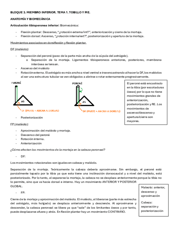 BLOQUE-3.-TOBILLO-TEORIA.pdf