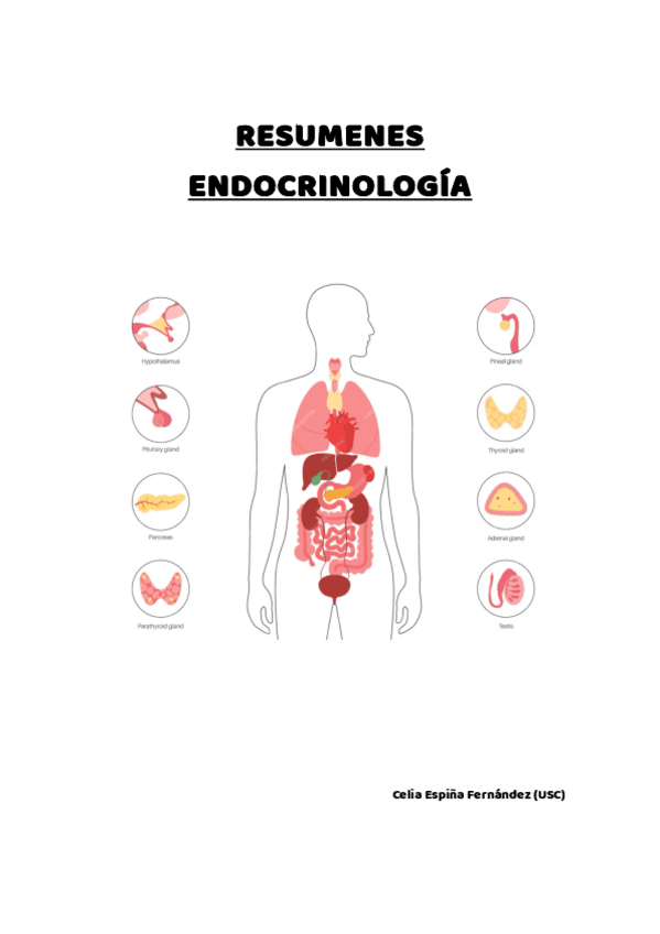 Resumenes-endocrino.pdf