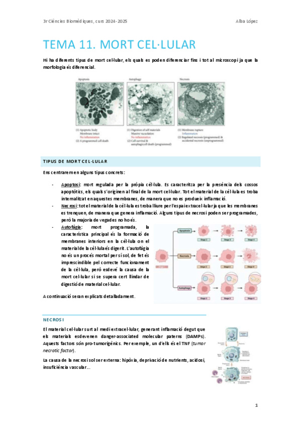Tema-11.-Mort-cellular.pdf
