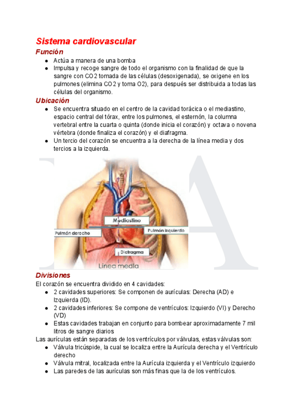 Generalidades-del-Sistema-cardiovascular.pdf