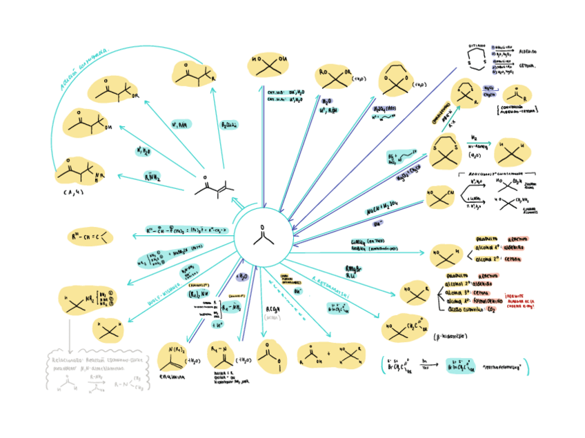 ESQUEMA-REACCIONES-T8.pdf