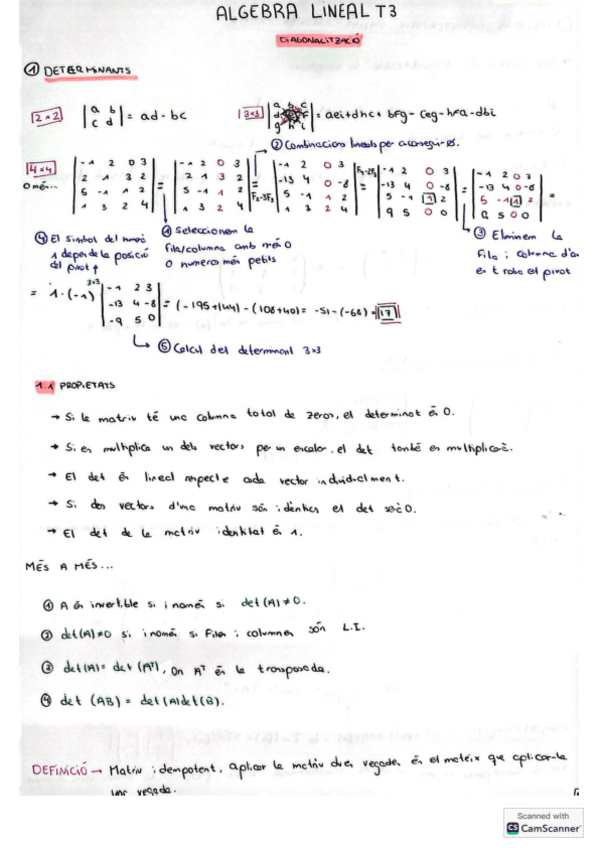 T3-diagonalitzacio-algebra.lineal.pdf