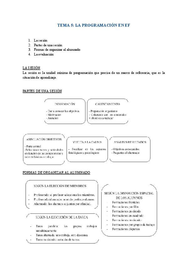 TEMA-5-LA-PROGRAMACION-EN-EF.pdf