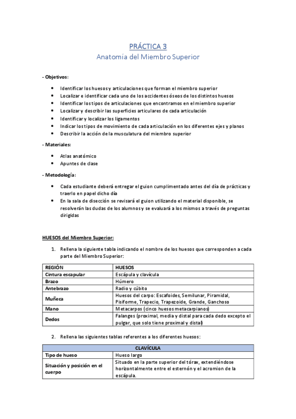 PRACTICA-3.-Anatomia-del-Miembro-Superior.pdf