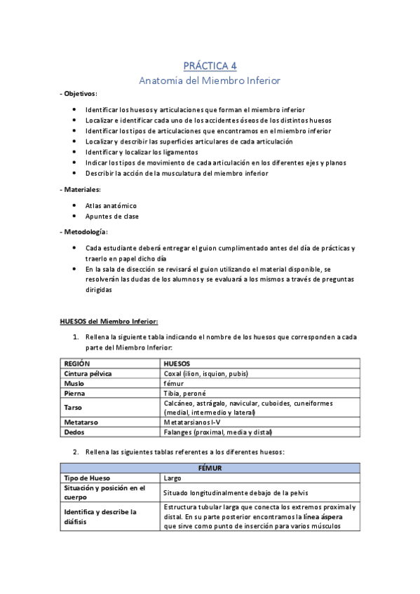 PRACTICA-4.pdf