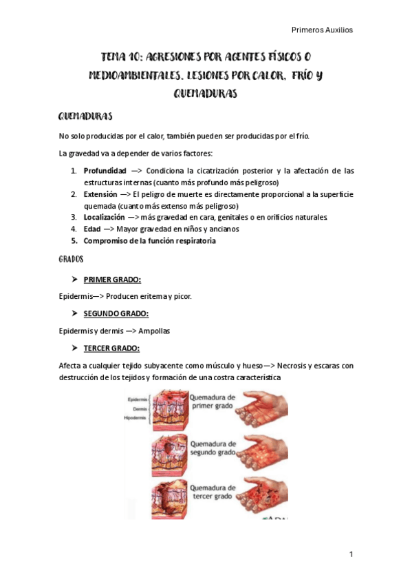 Tema-10-Primeros-Auxilios.pdf