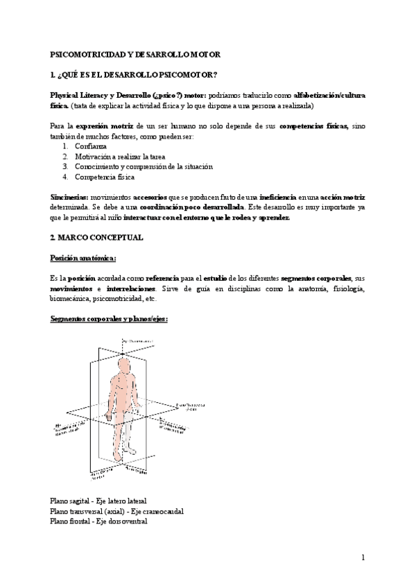 TEMARIO-DESARROLLO-PSICOMOTOR.pdf