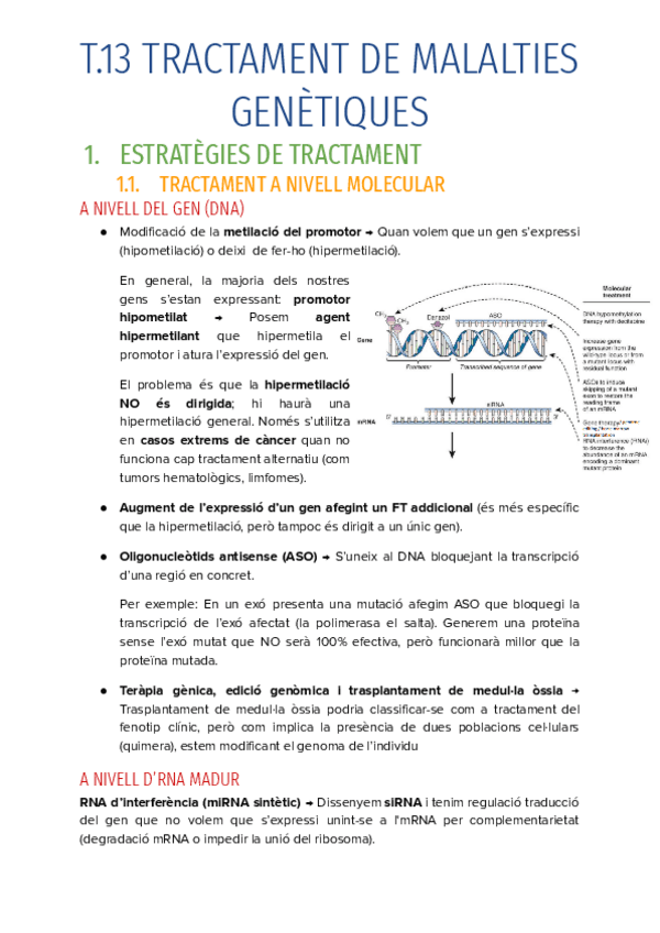 T.13-TRACTAMENT-DE-MALALTIES-GENETIQUES.pdf