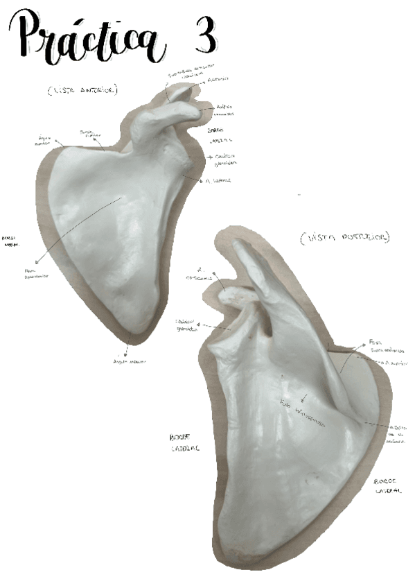 Practica-3.pdf