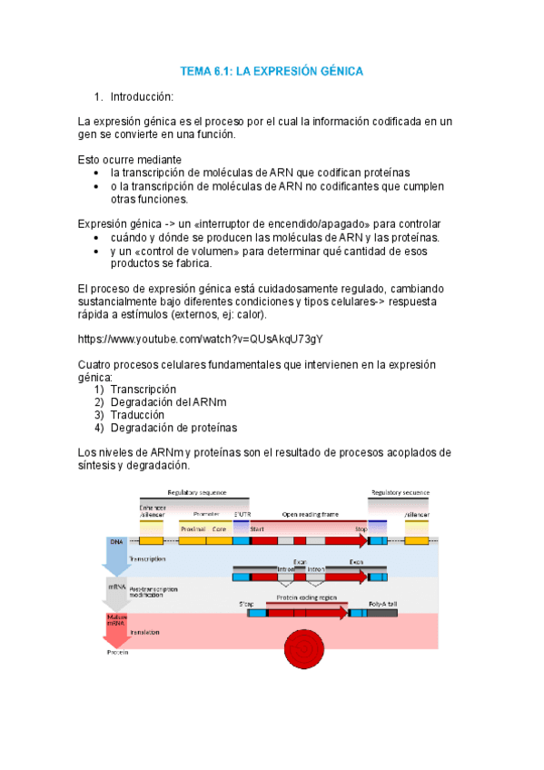 tema-6.1-genomica.pdf