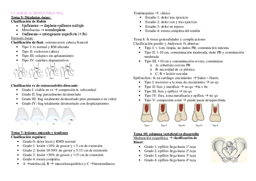 resumenes-clasificaciones-trauma.pdf