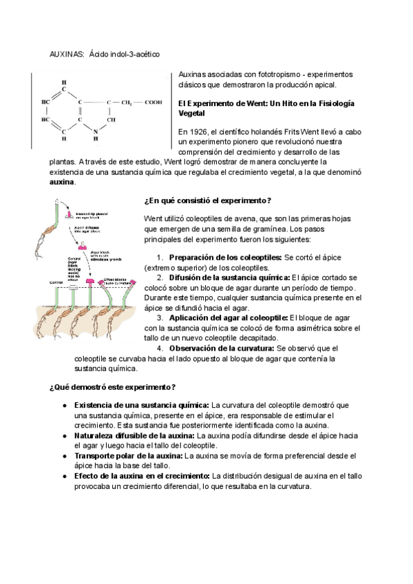 AUXINAS-Acido-indol-3-acetico.pdf