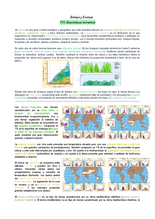 T11-Ecosistemas.pdf