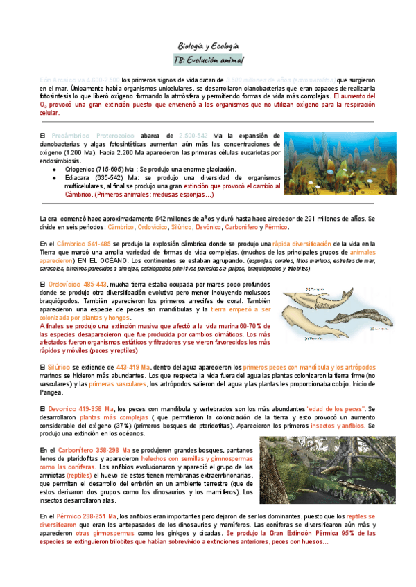 T8-Animales.pdf