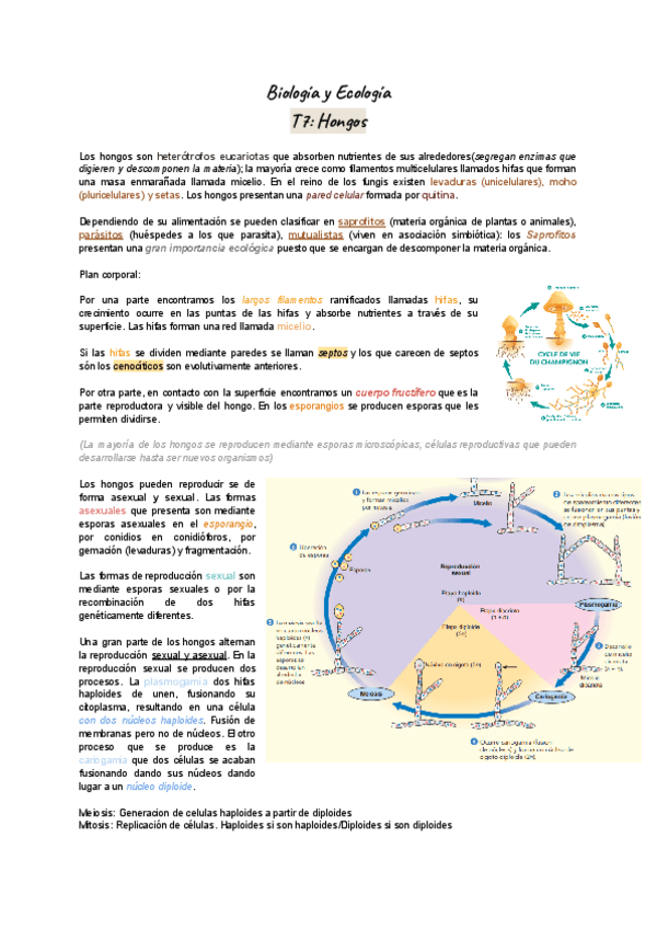 T7-Hongos-y-Plantas.pdf
