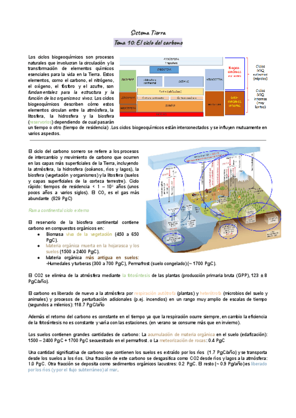 Tema-10.-Ciclos-biogeoquimicos.pdf