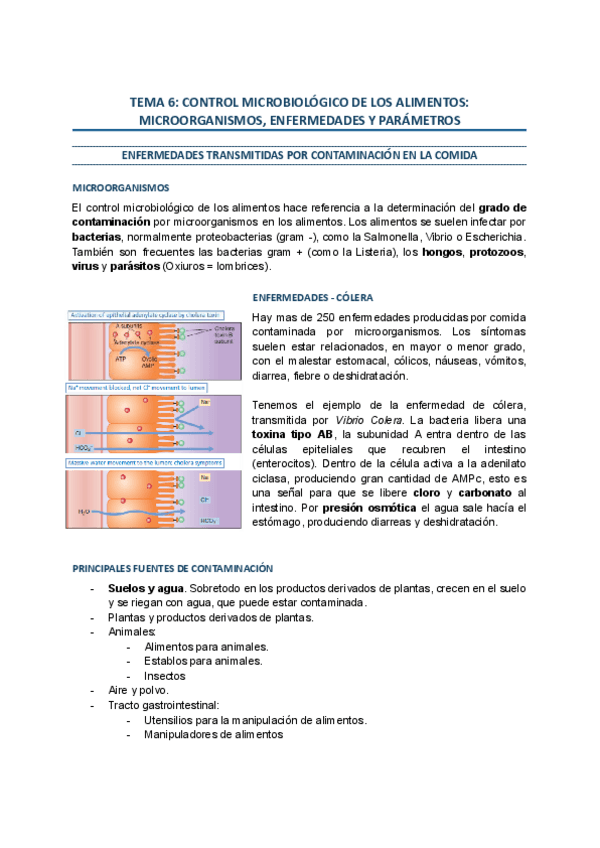 tema-6-control-microbiologico-de-los-alimentos.pdf