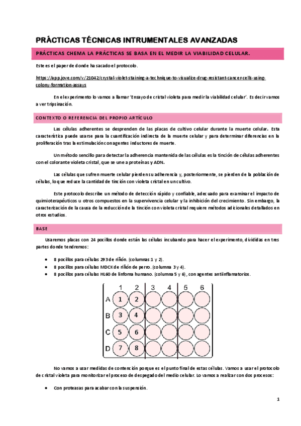 PRACTICAS-TIA-20242025.pdf