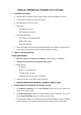 Miniatura del documento Tema 28.pdf
