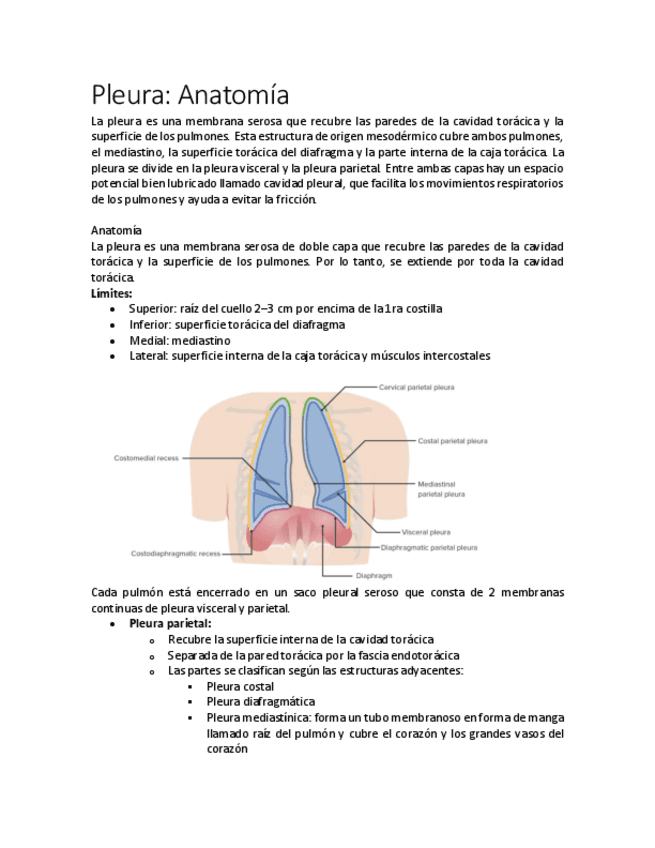 Pleura.pdf