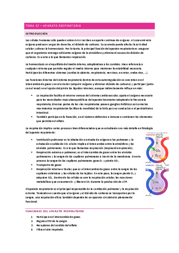 Aparato-respiratorio-Anatomia.pdf