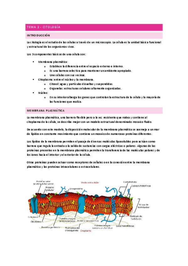 Citologia-Anatomia.pdf