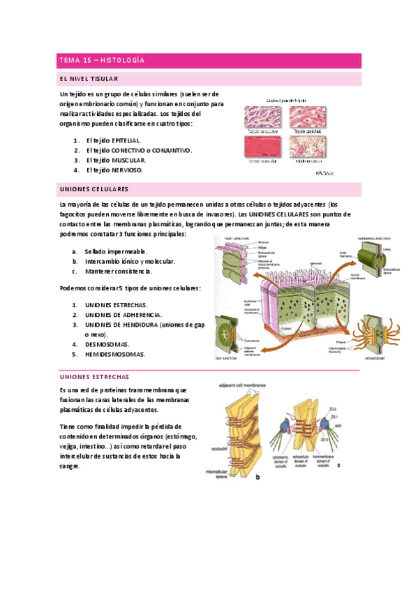 Histologia-Anatomia.pdf