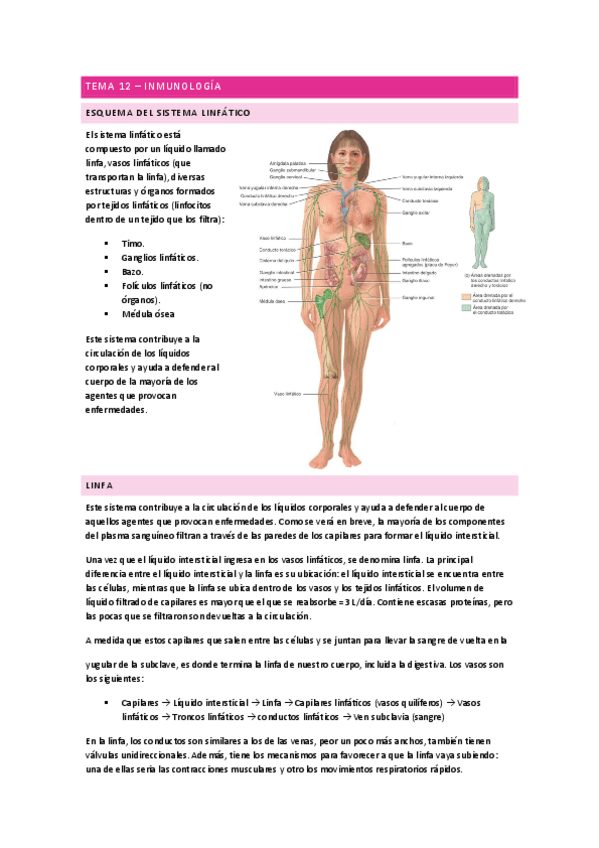 Inmunologia-Anatomia.pdf