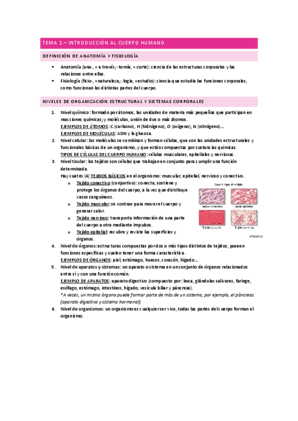 Introduccion-Anatomia.pdf