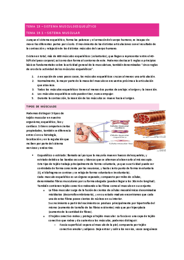 Sistema-musculoesqueletico-Anatomia.pdf